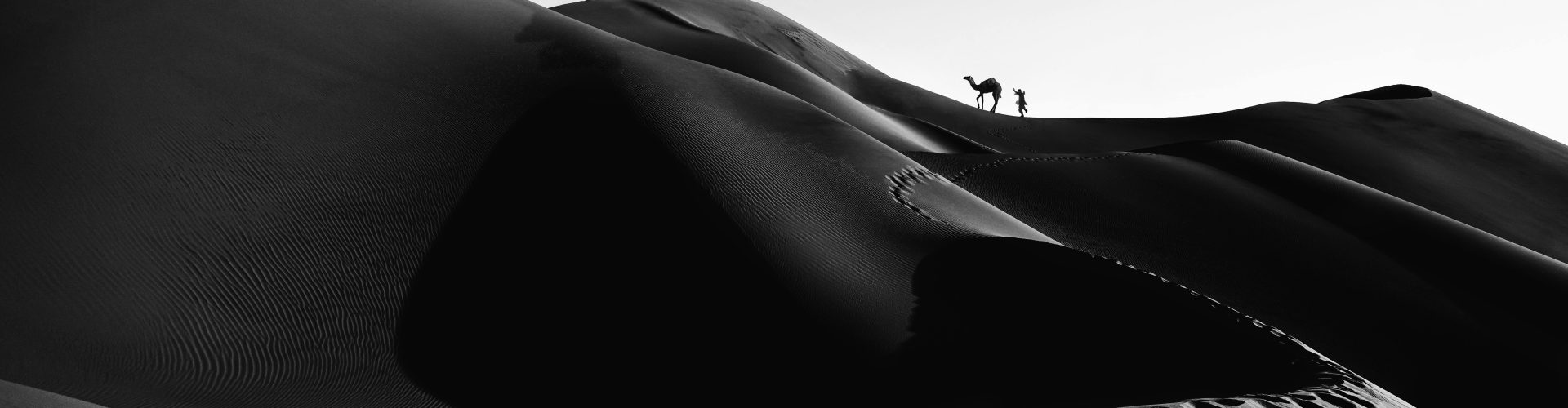 A captivating monochrome image of a camel in the vast Iranian desert dunes.